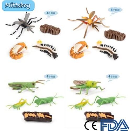 Hot Simulation Insect The Growth Process Model Child Mini Animal Mosquito grasshopper butterfly PVC Action Figures Doll toy Kids