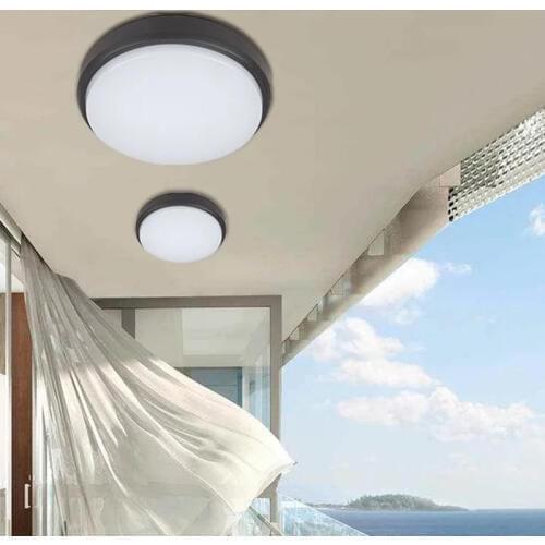 Surface Mount LED Ceiling Light AC 220V Modern LED Outdoor Waterproof Dust Wall Light Ceiling Light for Balcony Restaurant
