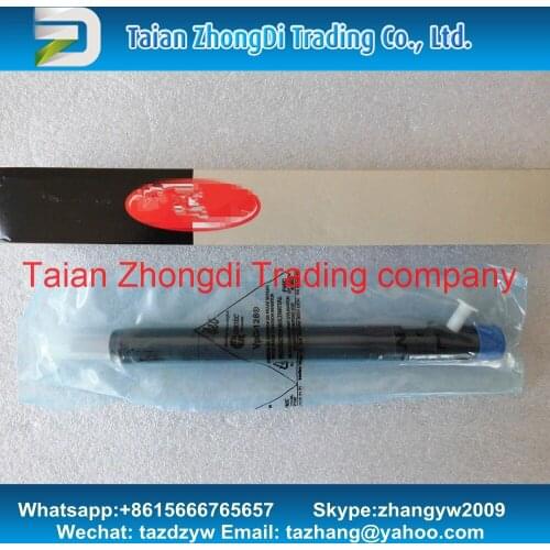 100% Genuine and New Common Rail Injector EJBR04601D EJBR02601Z for A6650170321 6650170321