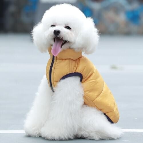 Puppy Dog Vest Double-Sided Wear Clothes Teddy Warm Cotton Coat Pet Clothing 2020 Autumn Winter New Leisure Four-Legged Clothes