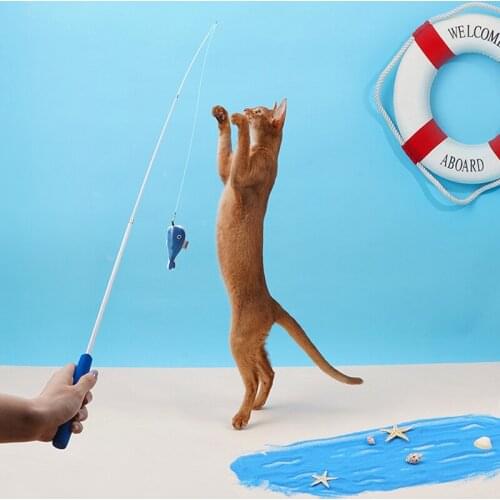 Retractable Cat Teaser Play Wand Fishing Pole String Fun Catnip Toy Interactive Cat Fish Toys Teaser Flying Catcher for Kitten