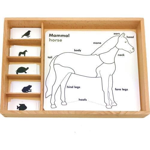 Montessori Language Materials 3 Parts Card Animal Growth Cards Learning Educational Wooden Toys Juguetes Montessori E2864H