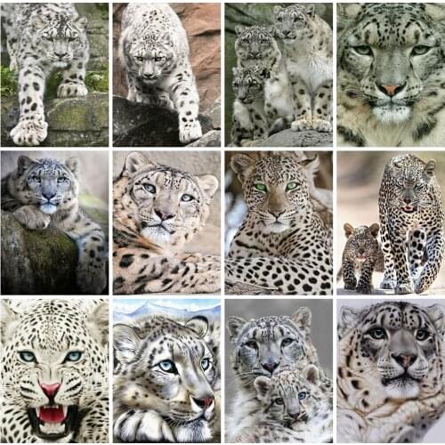 EverShine 5D Diamond Painting Kits Animals Diamond Embroidery Leopard Cross Stitch Rhinestones Picture Decoration For Home