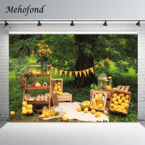 Mehofond Spring Fresh Lemon Backdrop Green Leaves Forest Tree Grassland Baby Shower Wedding Photography Background Photo Studio
