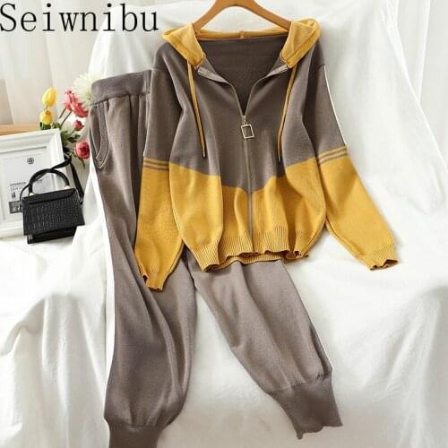 2020 spring autumn New Casual Tracksuit for Women Two Piece Set Hoodies loose knitting 2 Pieces Sports Suit