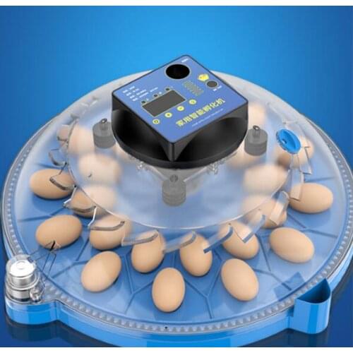 12V/240V Incubator incubator Smart parrot bird egg incubator LCD display 9/12/16/24/36/48 cps