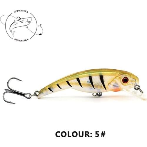 Bionic Minnow Floating Wobbler 10cm/6.3g Plastic Fishing Bait Lifelike 3D Eyes Anti-Corrosion Freshwater Fishing Lure Hard Bait