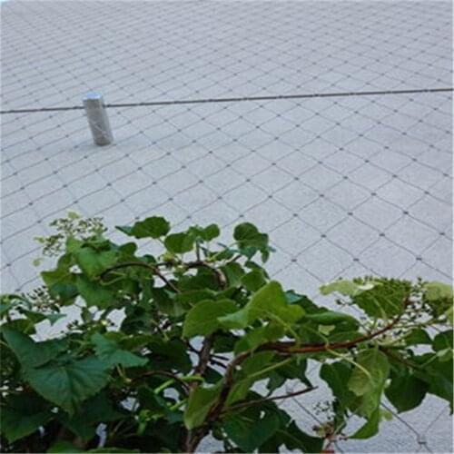 Plant Climbing Green Wall Mesh, Stainless Steel Wire Rope Mesh For Plant Climbing