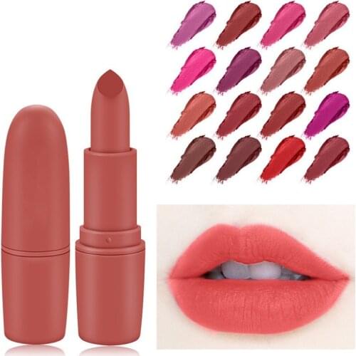Professional makeup set long lasting waterproof lipstick cosmetic beauty matte lipstick, sexy lipstick