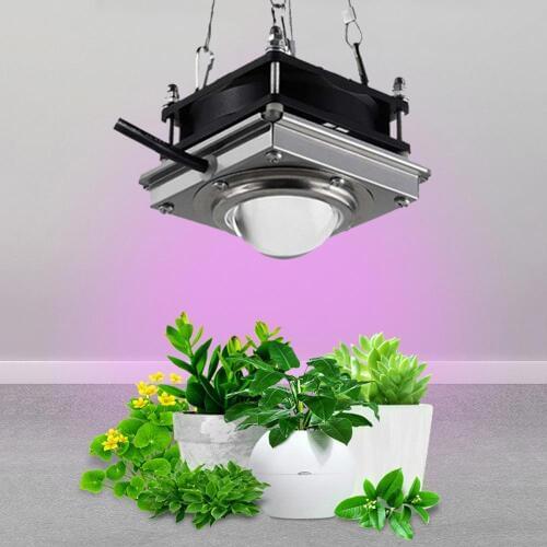 150W Fitolampy Indoor COB LED Grow Light For Plants Full Spectrum 4000K Growing Lamp Tent Garden Phyto Seed Plant Flowers Growth
