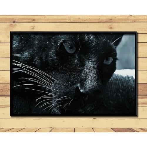 Jaguar Strong And Fast Land Animal (22) Wall Posters Prints Silk Art Painting For Home Wall Bedroom Decor