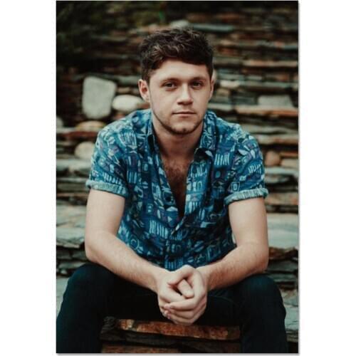 Poster Custom Niall Horan Canvas Poster Art Home Decoration Cloth Fabric Wall Poster Print Silk Fabric 30X45cm40X60cm