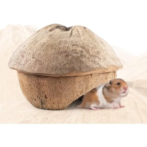 Coconut Shell Hamster Sleeping House Hanging Cage Nest with Climbing Ladder Staris Hamster Playing Toys Bird Small Animals