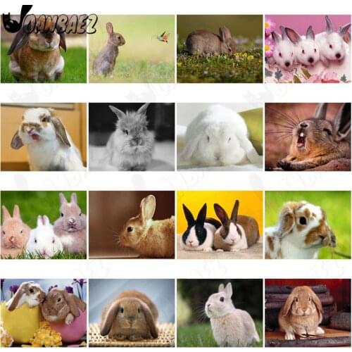 Gray-Brown Rabbit Animal Diamond Painting 5D Diy Mural Diamond Inlaid Home Bedroom Room Decoration Accessories Gift