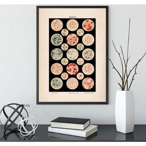 Canvas Painting Microbiology Bacteria Microbe Art Print Old Medicine Poster Science Wall Art Picture Biology Study Vintage Decor