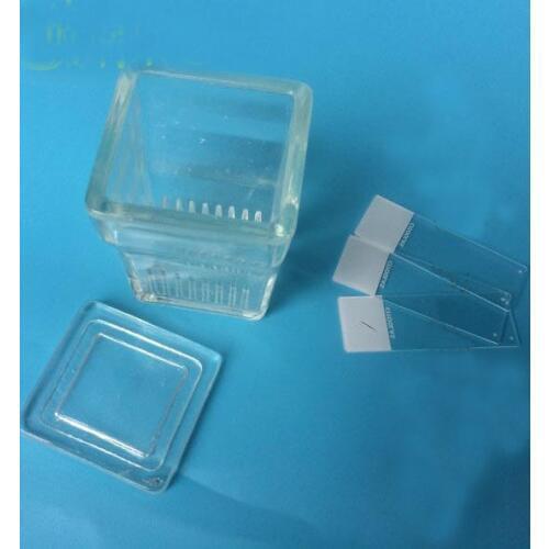 2 pcs/lot High Quality Glass Staining Jar can hold 9 pieces glass slide Laboratory Consumables free shipping