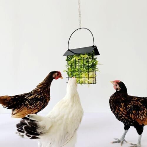 Chicken Feeder Basket Chicks Bird Feeding Foraging Toy Metal Hanging Birdfeeders