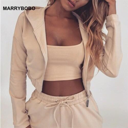 Autumn Winter Two Pieces Set Women Solid Hoodie Top And Pant Tracksuit 2019 Casual Elastic Waist Leisure 2 Piece Set Lady Outfit