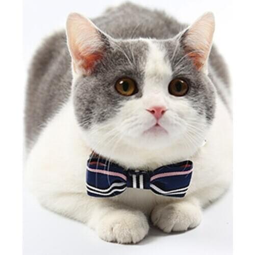 PIANG DUNER Comb For Cats