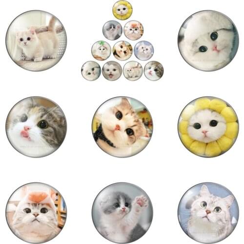 Cute Cat Mixed Glass Snap Button Round Photo Glass Cabochon Demo Flat Back Making Findings Handmade DIY Accessories