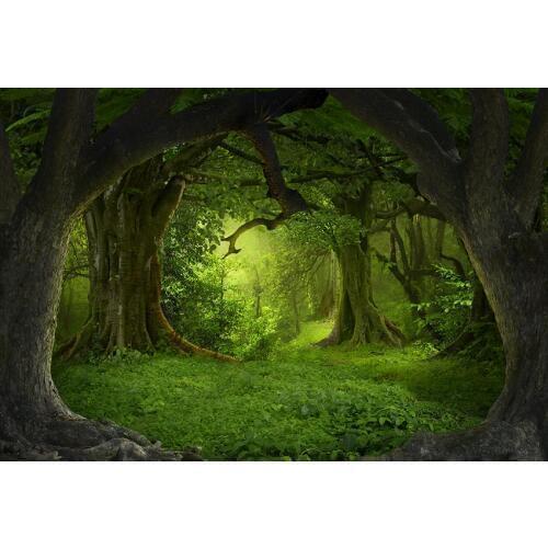 Newborn fairy tale kids photo backgrounds vinyl wonderland Photography backdrops for photo Studio accessories photophone lv-837
