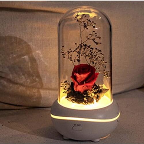 Immortal Flower Aroma Therapy Machine Everlasting Flower Aromatherapy Lamp Colorful Light Fragrance Diffuser
