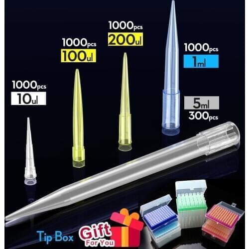Lab 10ul 100ul 200ul 1000ul 5ml PP Plastic Pipette Tips For Microbiological Test Pipettor Tips Disposable Pipette Tip by ks-tek