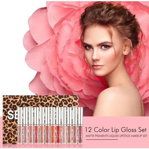 12 Color Lip Gloss Set Matte Pigments Liquid Lipstick Makeup Set Very Convenient And Very Beautiful Lip Gloss Combination