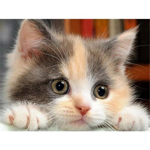 Flower Animal DIY Cross Stitch 11CT Embroidery Kits Craft Needlework Set Printed Canvas Cotton Thread Home Decoration On Sell