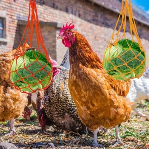 Chicken Toy-Chicken Veggies Skewer Fruit Holder Hanging Feeder for Poultry Rope&Metal Hanging Feeder