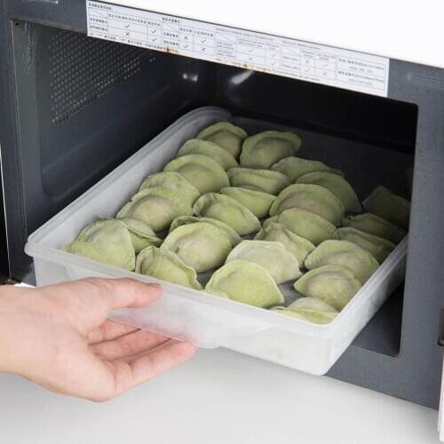 2020New Kitchen Containers Dumplings Storage Containers Box Refrigerator Organizer PP Clear Case with Lid Keep Food Fresh