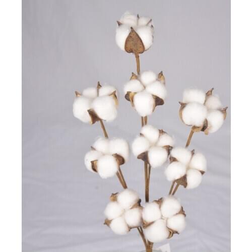 Rustic Style Vase Display Filler Natural White Cotton Boll Stems Flowers Branches Farmhouse Floral Wedding Home Decor 9 Heads