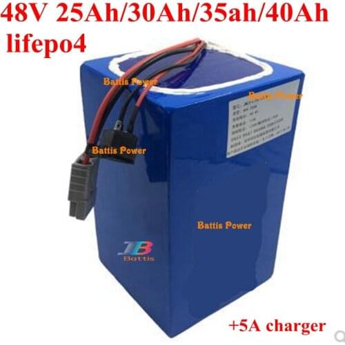Customized Lifepo4 25Ah 30Ah 35Ah 40Ah 48v Lithium battery pack with BMS for 2500w ebike wheel chair inverter RV GV + 5A charger