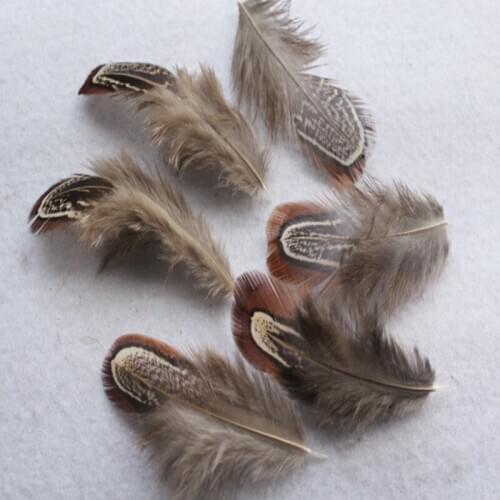 Wholesale 10 pcs Natural Pheasant Feathers 5-10 cm DIY Jewelry Clothing Hat Christmas Holiday Decorative