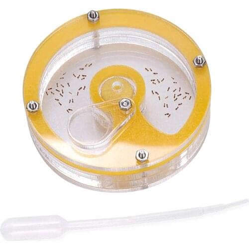 Ant Nest Farm Acrylic Insect Breeding Box Ant Formicarium Habitat Color Sent Randomly
