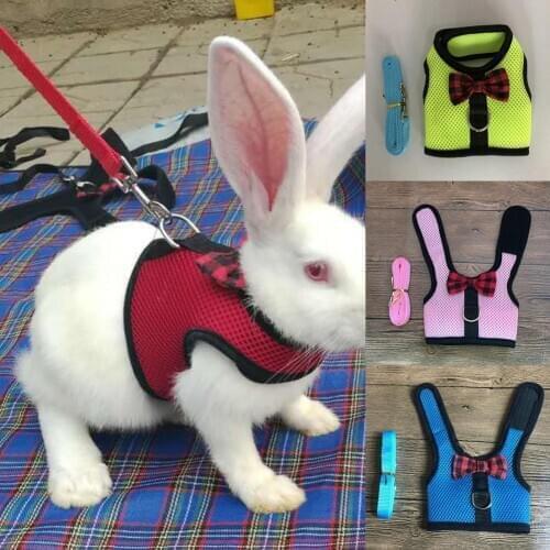 Rabbit Hamster Chest Strap Vest Harness Walking Leash Traction Rope Pet Supply for Small Animals