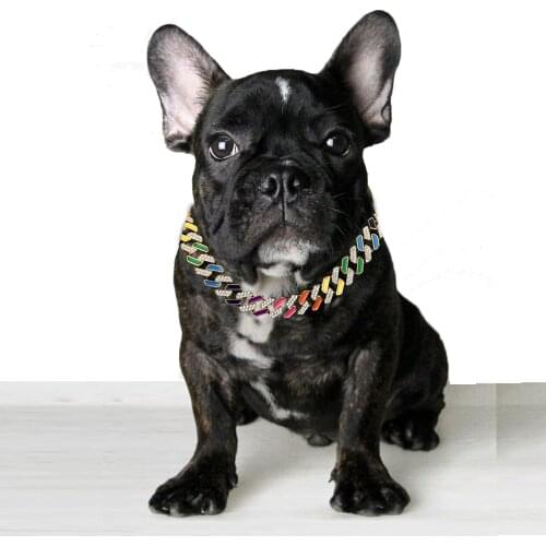 Super Strong Dog Chain Collar Stainless Steel Pet Slip Choke Colorful Rainbow Chian Collars For Small Large Dogs Pitbull Bulldog