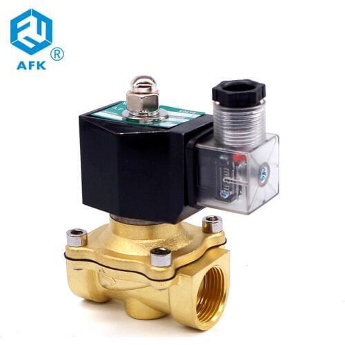 2/2Way DN25 1" Lpg Gas Solenoid Valve 24VDC 24VAC 110VAC 220VAC Brass Normally close Valve