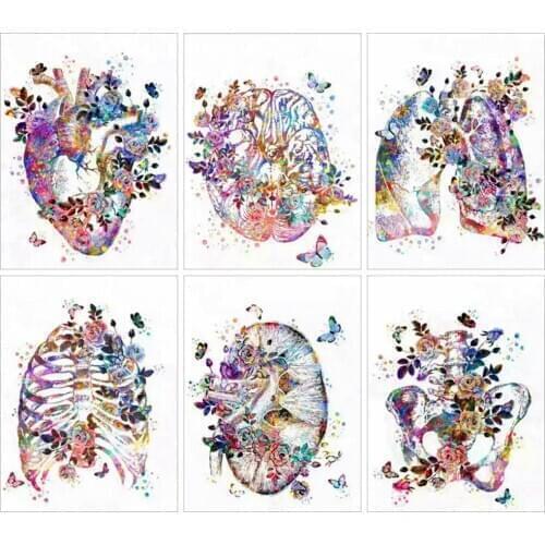 Huacan 5d Diamond Painting New Arrivals Human Organs Mosaic Flower Handmade Gift Doctors Anatomy Diamond Art