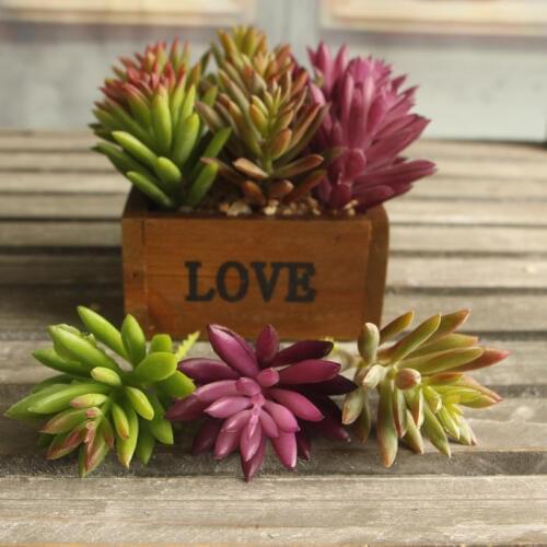 Garden Decor Cheap Artificial Flowers Lotus Plants Succulent Grass Desert Artificial Plants Landscape Arrangement