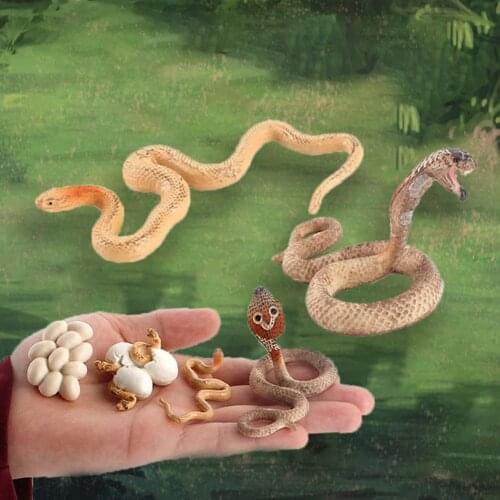 1Set Funny Snake Toy Prank Prop Animals Model Realistic Novelty Assorted Figurine Toy Model for Gift Novelty Funny Scary Snake