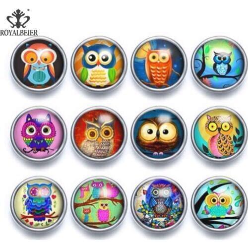 Royalbeier 12pcs/lot Glass Charms 12mm Snap Button Owl Theme Fit Snap Bracelet 12mm Snap Earrings Beads for Jewelry Making