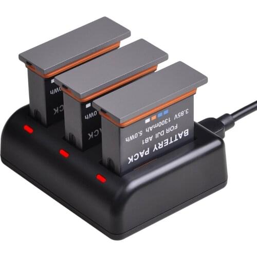 Battery Charger Set for DJI OSMO Action Camera,1300mAh AB1 Replacement Battery with Charger Fully Compatible with DJI Original