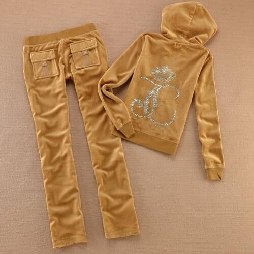 Spring Autumn 2020 Brand Women Velvet Fabric velor Tracksuit Women Suit Tracksuit Sweatshirts And plus Size Pants