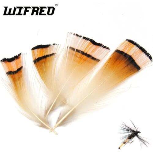 50PCS Natural Color Golden Pheasant Head Crest Feather Fly Tying Coachman Tailling Material Wifreo Brand