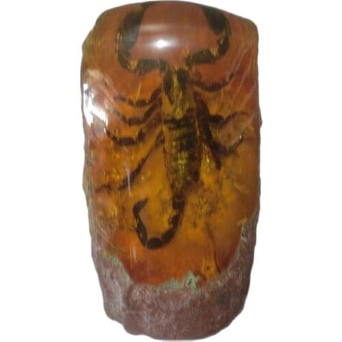 Natural amber scorpion amber art collection and home decoration