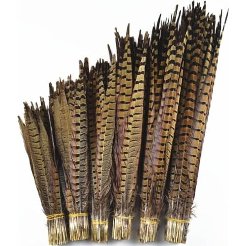 Natural Ringneck Pheasant Tail Feathers for Crafts 15-65cm/6-26" Pheasant Feathers for Clothes Plumas Carnaval Plume Decoration