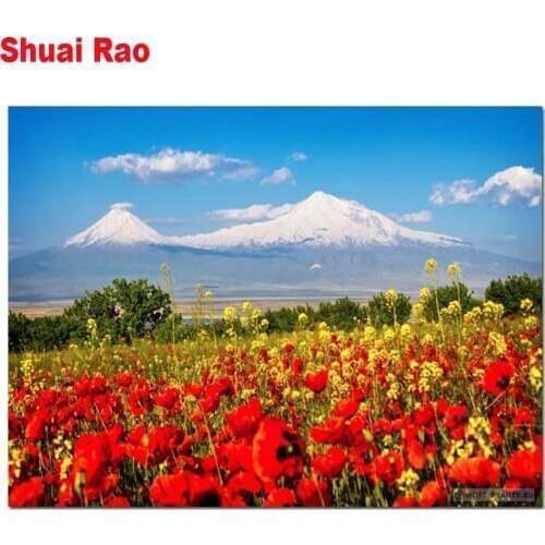 Diamond embroidery poppies background of Mount Ararat diamond mosaic full square round 5 d diamond painting sale landscape