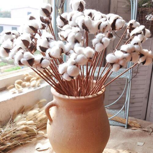 10 Pcs/Set Single Stem Cotton Long Branches Dry Cotton Stems Cotton Floral Imitation Cotton Branch DIY Farmhouse Style