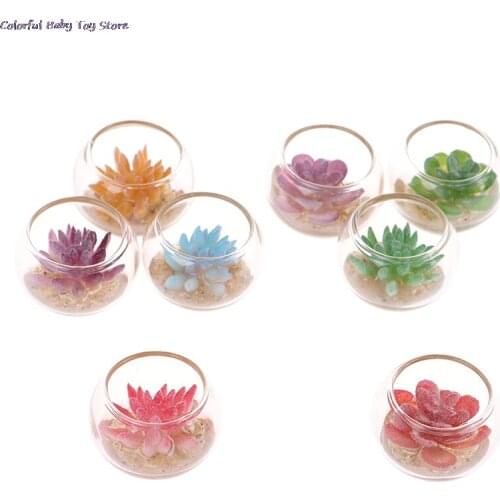 1:12 Dollhouse Miniature Glass Jar Succulent Plants In Pot Furniture Toys Home Decor 26mm*18mm
